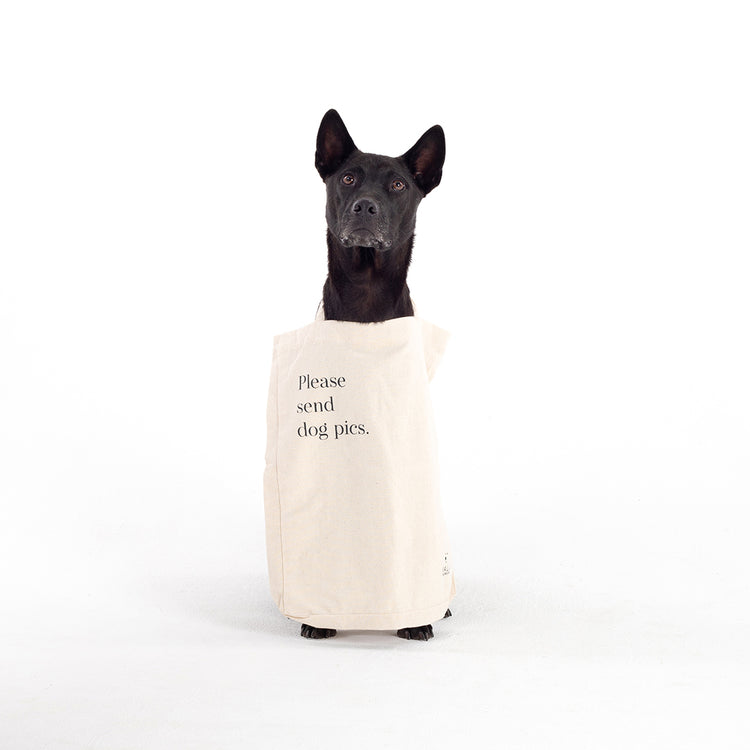 Kali Dogwear | Eco-friendly Dog Products & Accessories